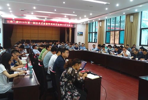 公司組織召開技術(shù)質(zhì)量管理典型案例分析交流會(huì)